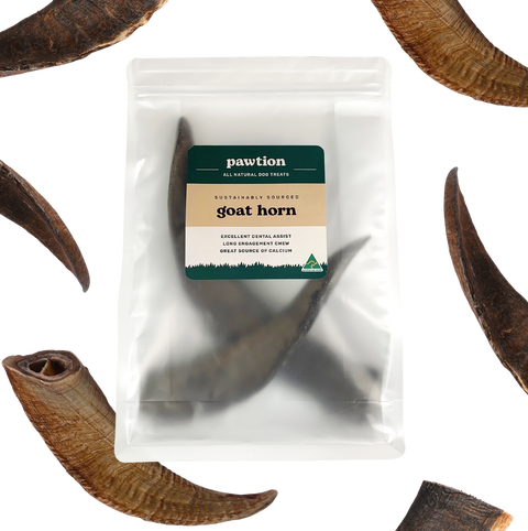 Goat Horns for Dogs: Nature’s Long-Lasting Chew With a Marrow Bonus