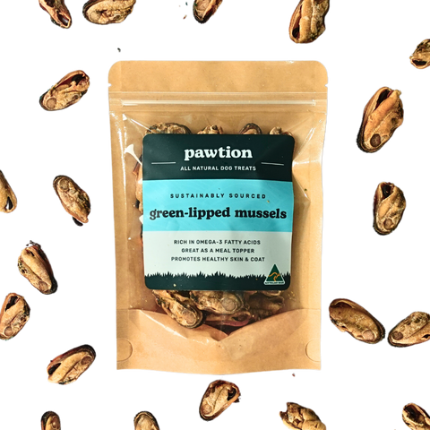 Green-Lipped Mussels