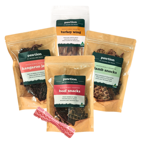 Trick for Treat Halloween Bundle