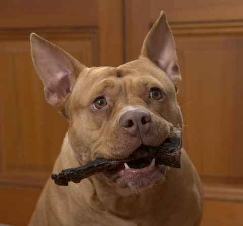 Kangaroo Teeth Cleanser (Large)