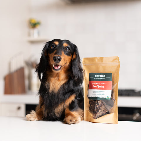 Beef Jerky