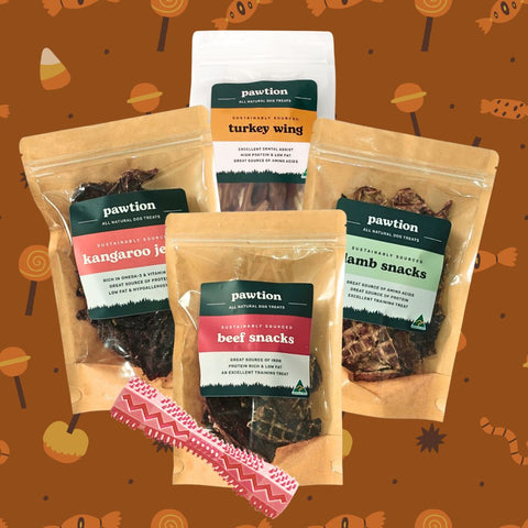 Trick for Treat Halloween Bundle