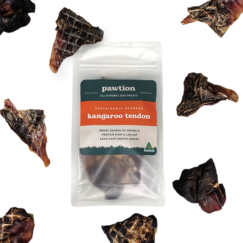 Kangaroo Tendon