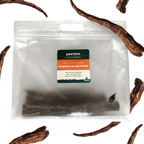 Kangaroo Tail Tips (Large)