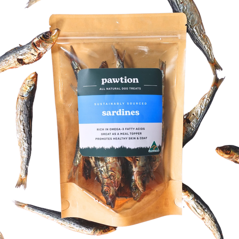 From Ocean to Bowl: Why Fish Is a Smart Protein Choice for Your Pup
