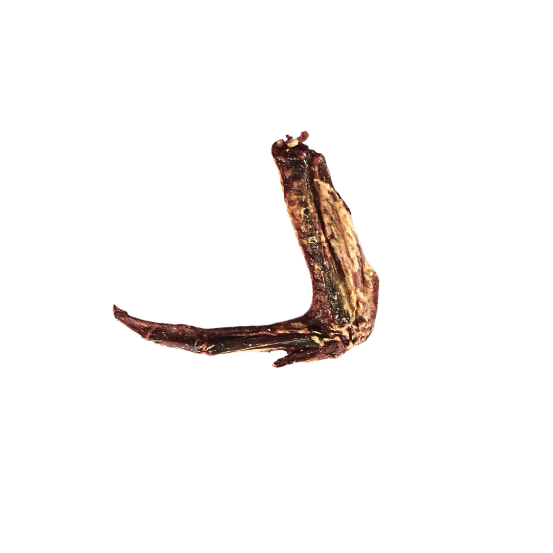 Duck Wings 100 Natural Single Ingredient Dog Chews Pawtion