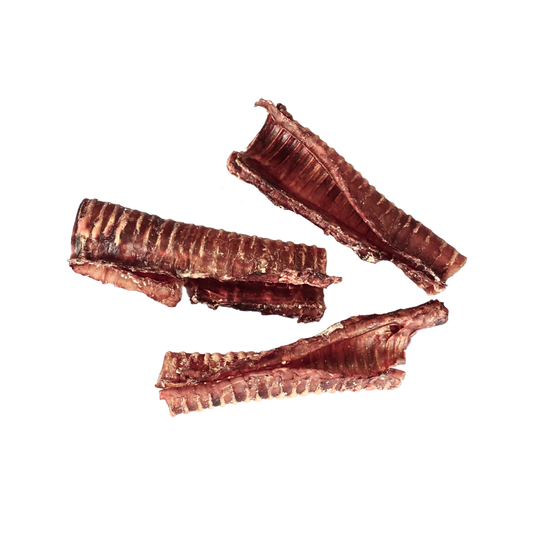 Beef Trachea