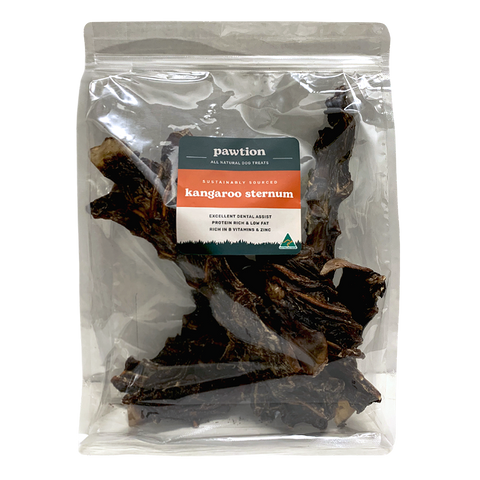 Kangaroo Sternum