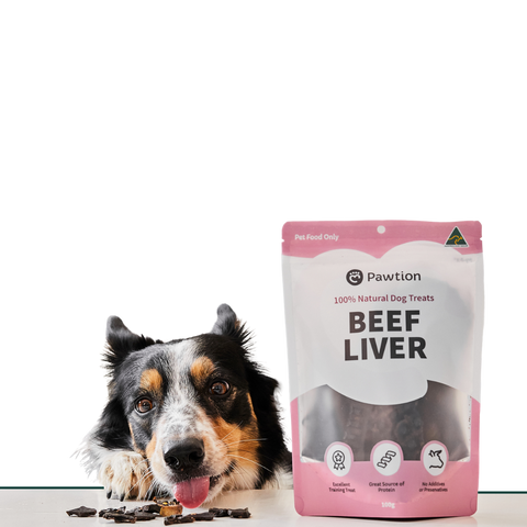 100 natural dog shop food