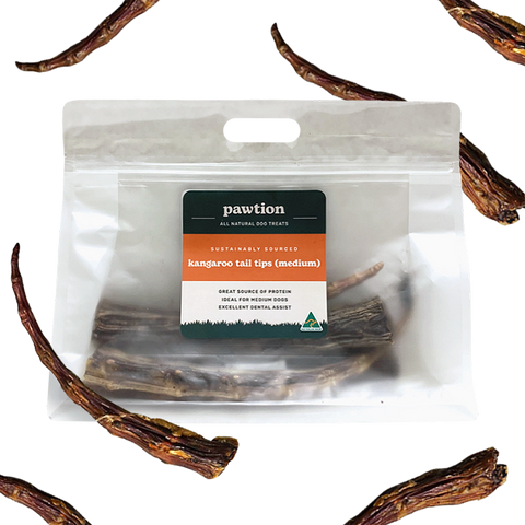 Kangaroo Tail Tips (Medium)