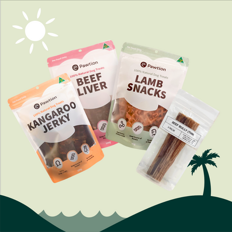 Pawtion Classics Summer Bundle