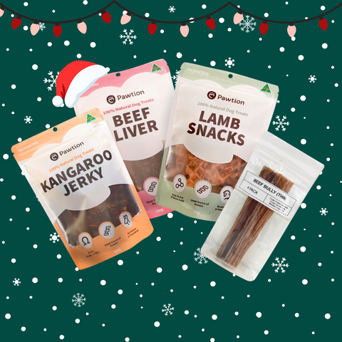 Pawtion Classics Christmas Bundle