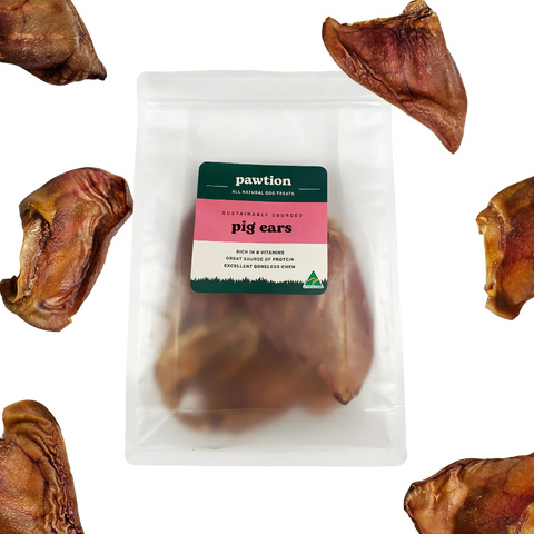 Pig Ear