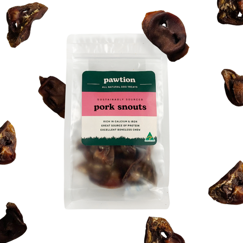 Pork Snout