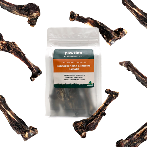 Kangaroo Teeth Cleanser (Small)